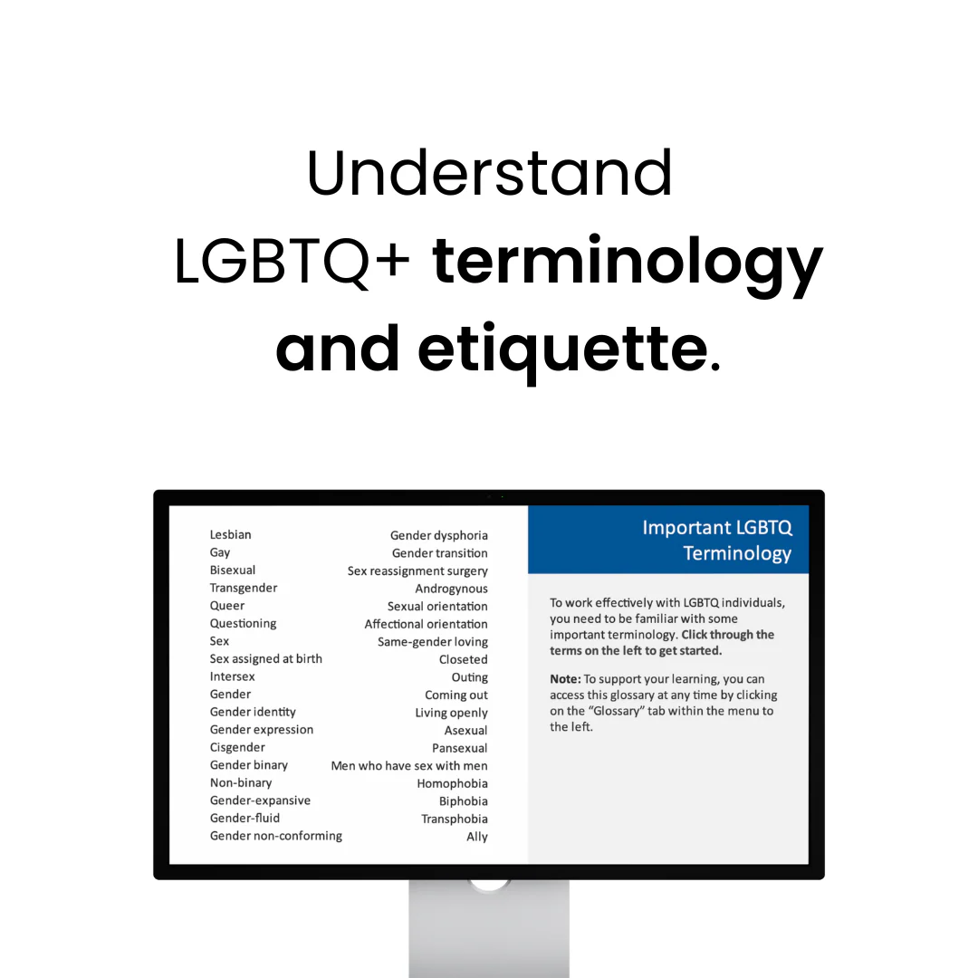 Quality Interactions® with the LGBTQ+ Population (1 CE) - Image 4